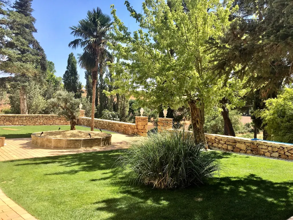 Lodge in Spain for bird hunt