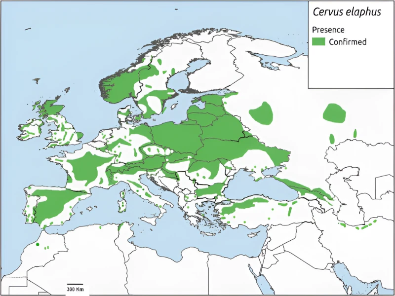 Map of red deer distribution in Europe