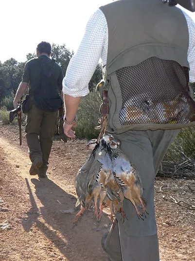 Hunters participating in bird hunting in Spain with pointing dogs